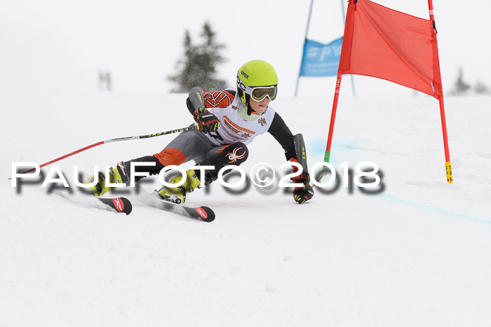 Dt. Schülercup U14 Finale, Riesenslalom, 03.03.2018