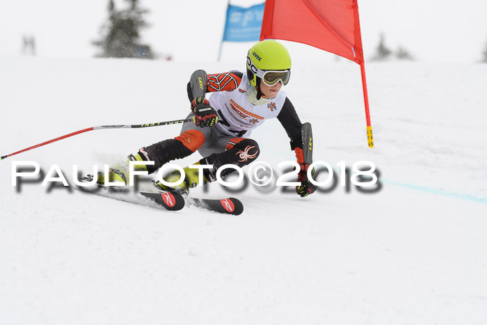 Dt. Schülercup U14 Finale, Riesenslalom, 03.03.2018