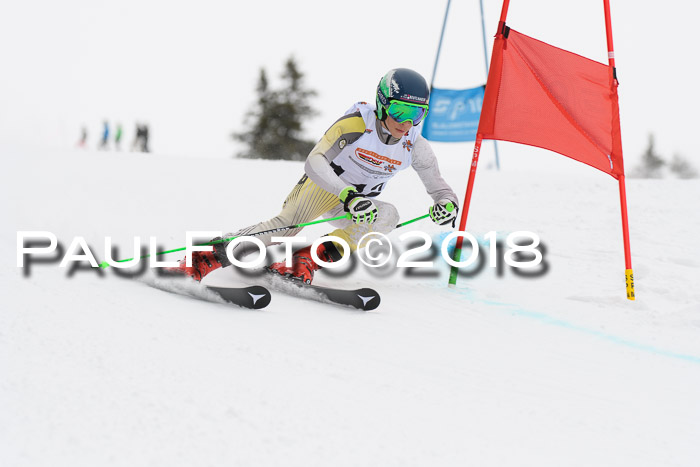 Dt. Schülercup U14 Finale, Riesenslalom, 03.03.2018