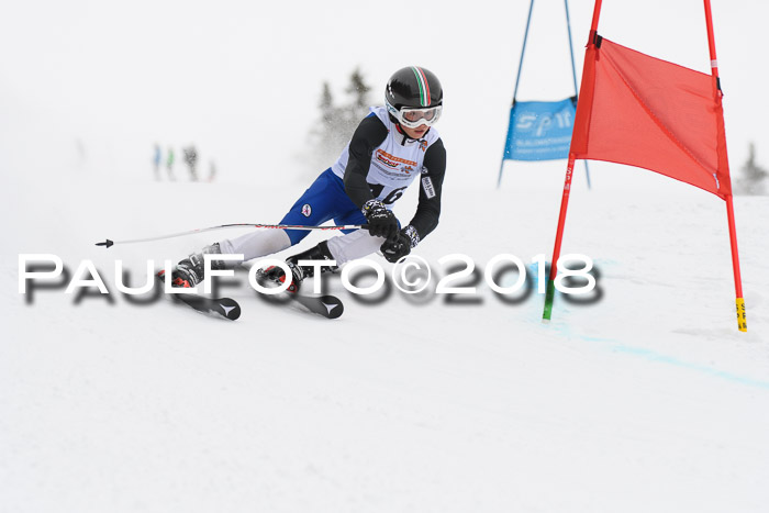 Dt. Schülercup U14 Finale, Riesenslalom, 03.03.2018