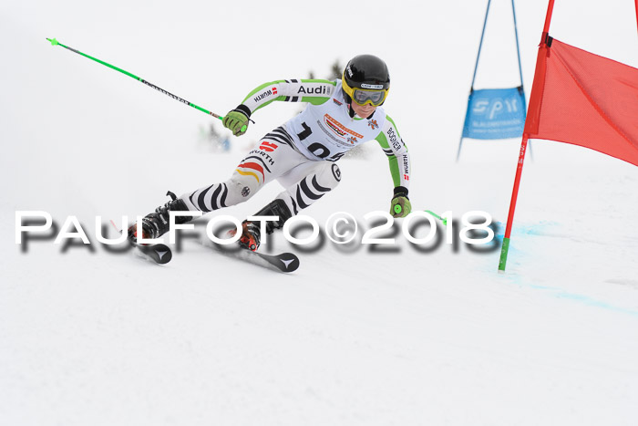 Dt. Schülercup U14 Finale, Riesenslalom, 03.03.2018