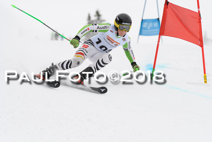 Dt. Schülercup U14 Finale, Riesenslalom, 03.03.2018