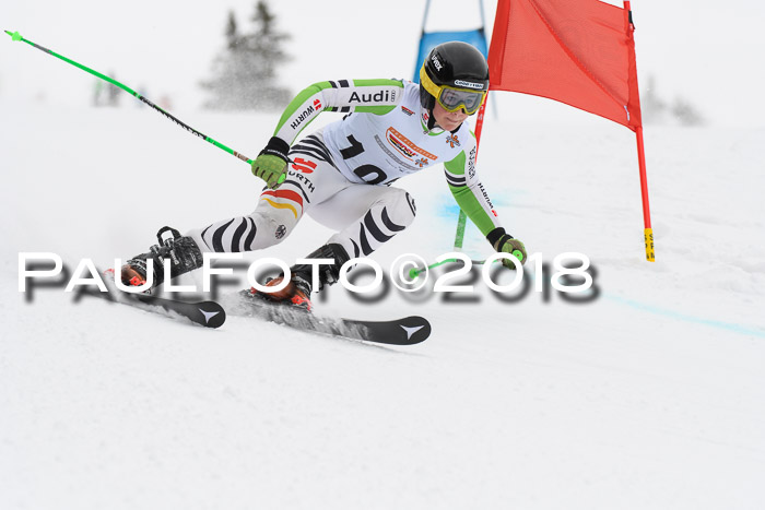 Dt. Schülercup U14 Finale, Riesenslalom, 03.03.2018