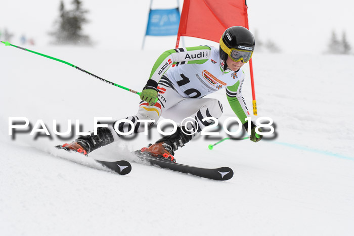 Dt. Schülercup U14 Finale, Riesenslalom, 03.03.2018