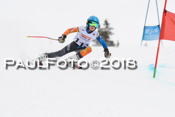 Dt. Schülercup U14 Finale, Riesenslalom, 03.03.2018