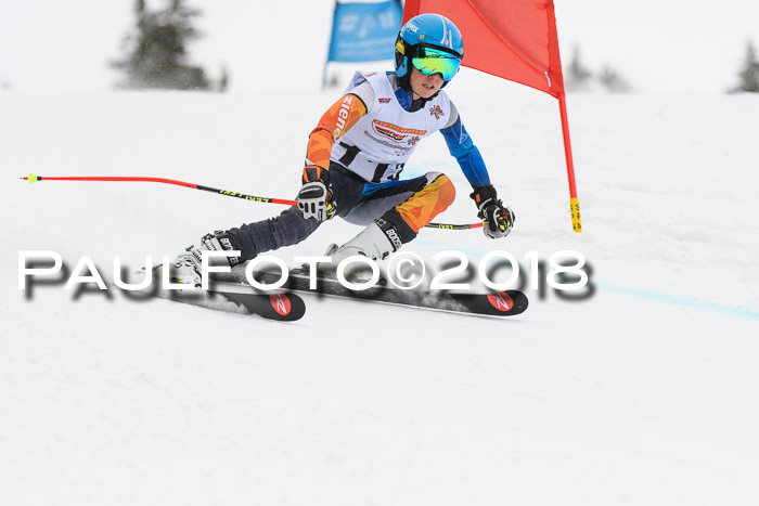 Dt. Schülercup U14 Finale, Riesenslalom, 03.03.2018