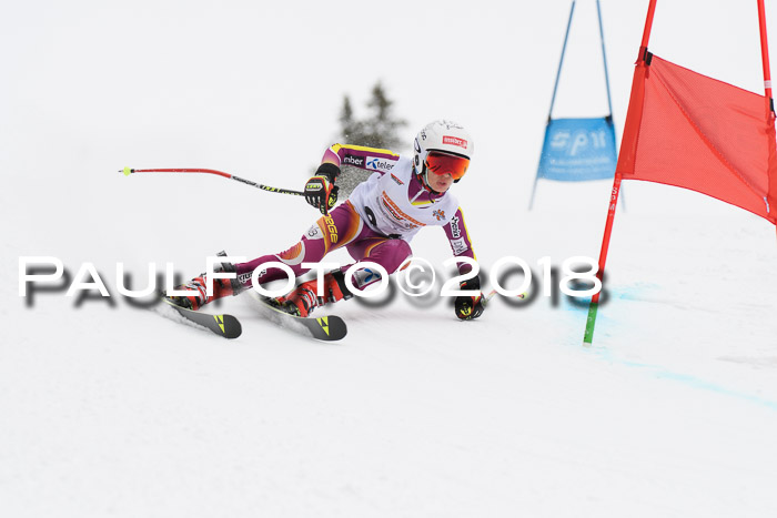 Dt. Schülercup U14 Finale, Riesenslalom, 03.03.2018