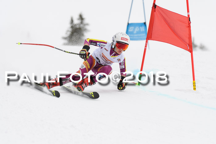 Dt. Schülercup U14 Finale, Riesenslalom, 03.03.2018