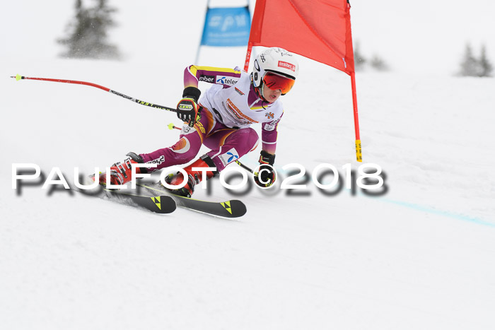 Dt. Schülercup U14 Finale, Riesenslalom, 03.03.2018