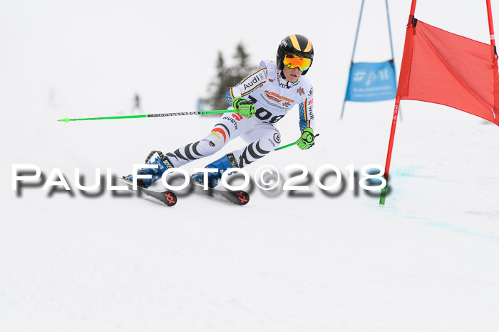 Dt. Schülercup U14 Finale, Riesenslalom, 03.03.2018