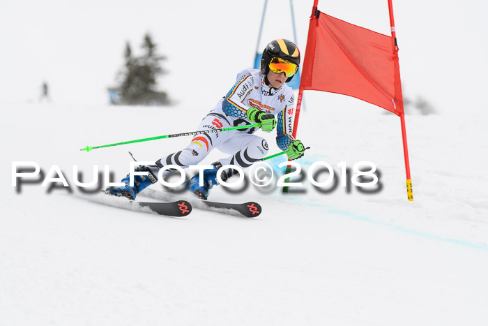 Dt. Schülercup U14 Finale, Riesenslalom, 03.03.2018