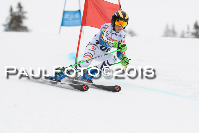 Dt. Schülercup U14 Finale, Riesenslalom, 03.03.2018