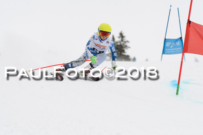 Dt. Schülercup U14 Finale, Riesenslalom, 03.03.2018