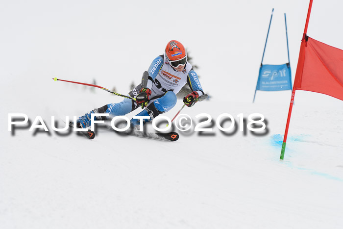 Dt. Schülercup U14 Finale, Riesenslalom, 03.03.2018