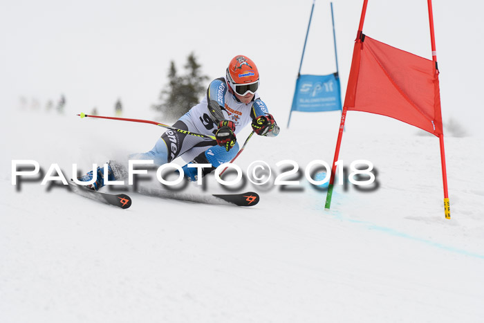 Dt. Schülercup U14 Finale, Riesenslalom, 03.03.2018