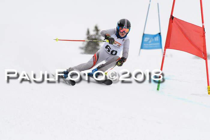 Dt. Schülercup U14 Finale, Riesenslalom, 03.03.2018