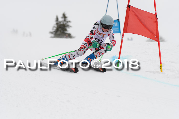 Dt. Schülercup U14 Finale, Riesenslalom, 03.03.2018