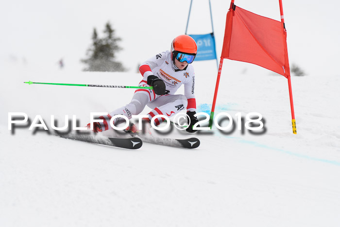 Dt. Schülercup U14 Finale, Riesenslalom, 03.03.2018