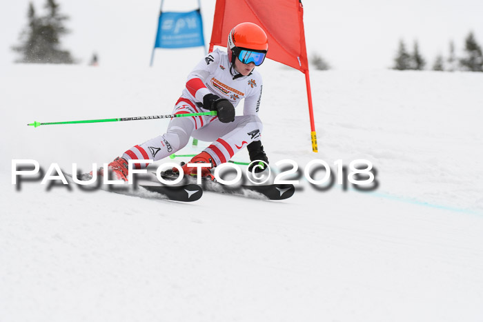 Dt. Schülercup U14 Finale, Riesenslalom, 03.03.2018