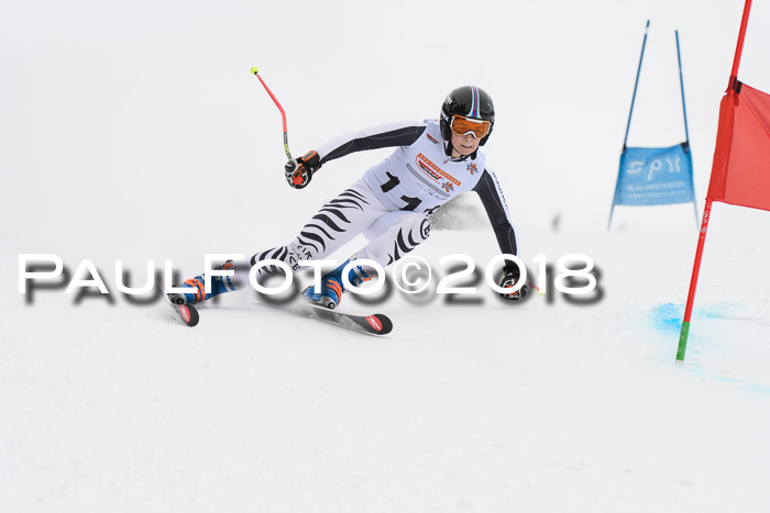 Dt. Schülercup U14 Finale, Riesenslalom, 03.03.2018