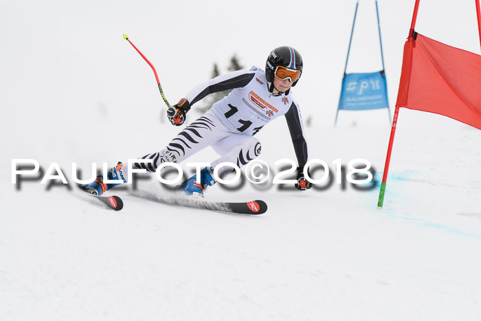 Dt. Schülercup U14 Finale, Riesenslalom, 03.03.2018