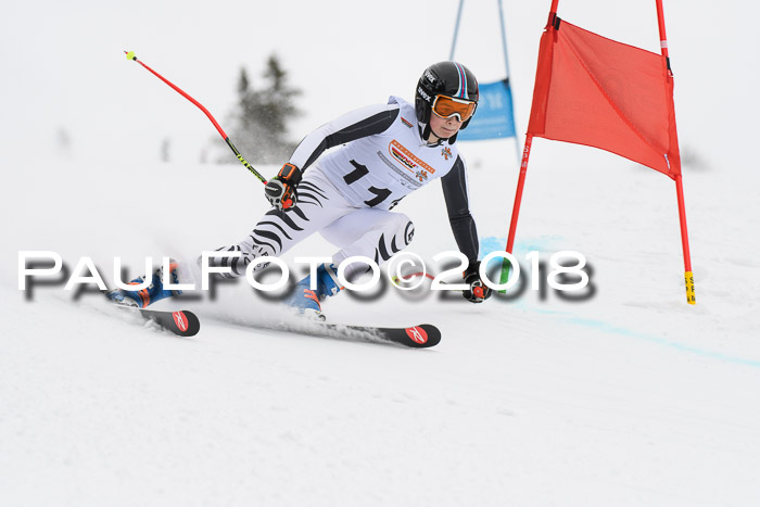 Dt. Schülercup U14 Finale, Riesenslalom, 03.03.2018