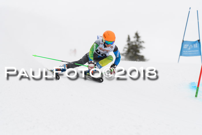 Dt. Schülercup U14 Finale, Riesenslalom, 03.03.2018