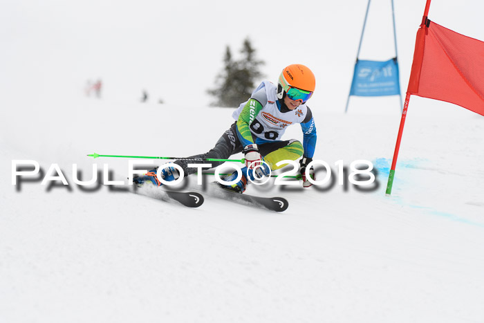 Dt. Schülercup U14 Finale, Riesenslalom, 03.03.2018