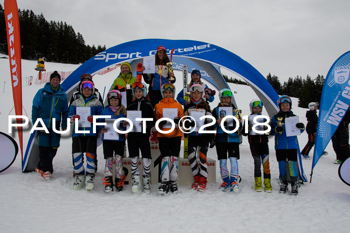 Dt. Schülercup U14 Finale, Riesenslalom, 03.03.2018