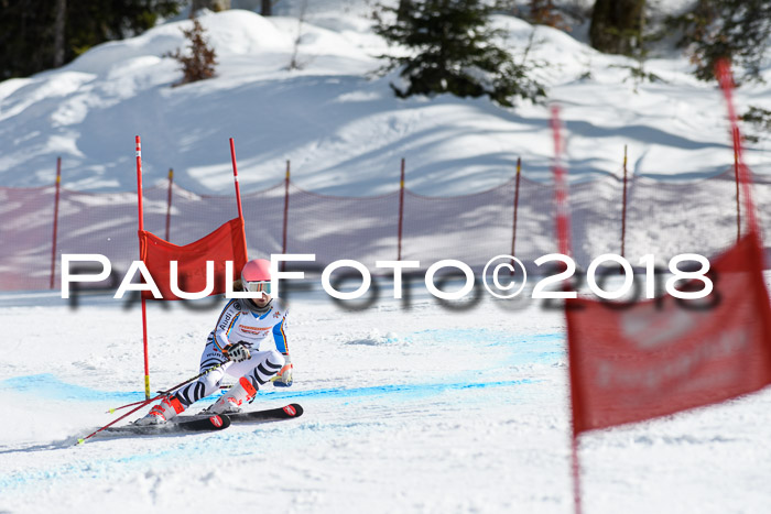 Dt. Schülercup U16 Finale, Riesenslalom, 03.03.2018