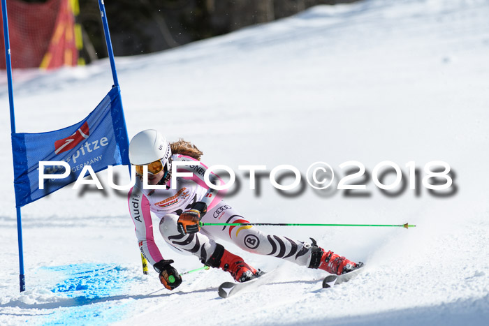 Dt. Schülercup U16 Finale, Riesenslalom, 03.03.2018