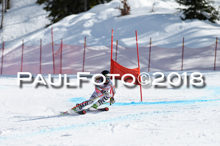 Dt. Schülercup U16 Finale, Riesenslalom, 03.03.2018