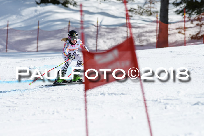 Dt. Schülercup U16 Finale, Riesenslalom, 03.03.2018