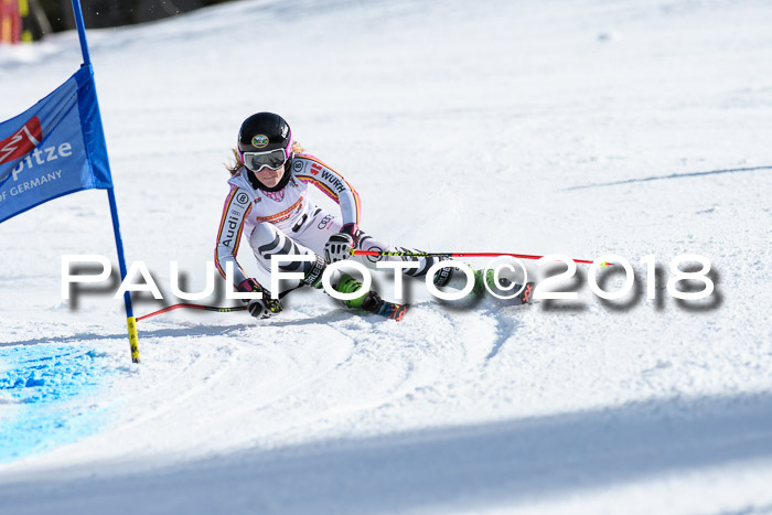 Dt. Schülercup U16 Finale, Riesenslalom, 03.03.2018