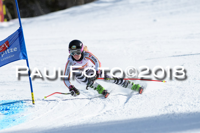 Dt. Schülercup U16 Finale, Riesenslalom, 03.03.2018