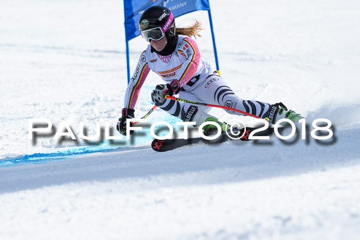 Dt. Schülercup U16 Finale, Riesenslalom, 03.03.2018