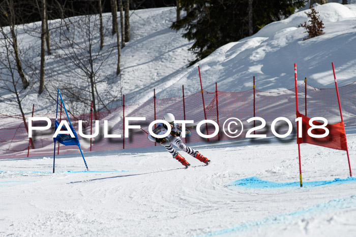 Dt. Schülercup U16 Finale, Riesenslalom, 03.03.2018