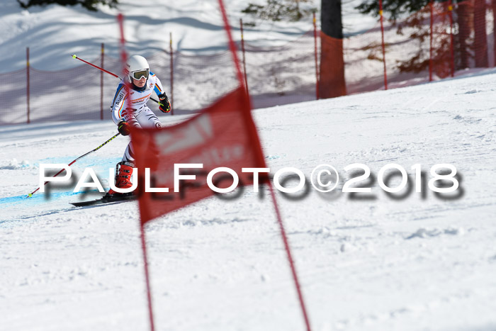 Dt. Schülercup U16 Finale, Riesenslalom, 03.03.2018