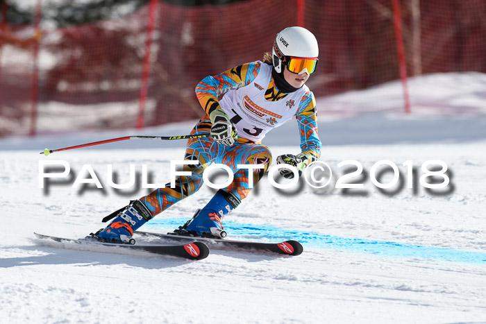 Dt. Schülercup U16 Finale, Riesenslalom, 03.03.2018