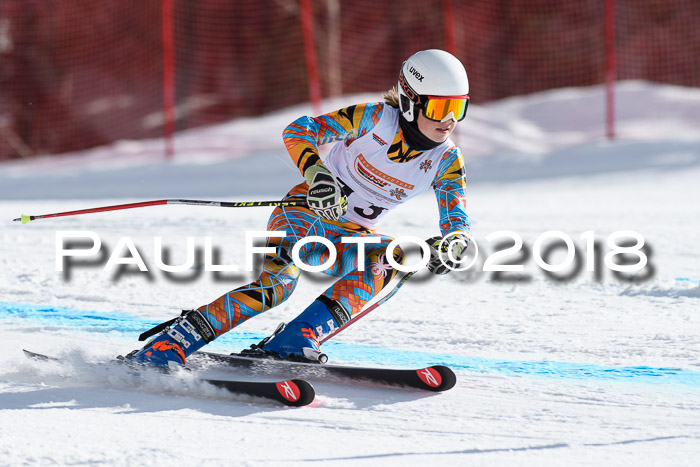 Dt. Schülercup U16 Finale, Riesenslalom, 03.03.2018