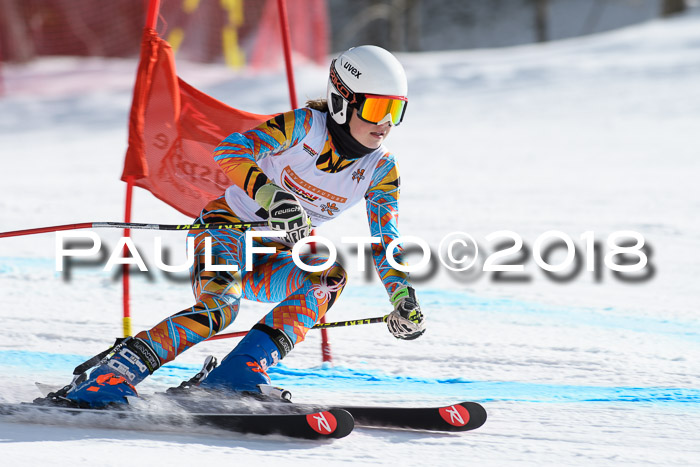 Dt. Schülercup U16 Finale, Riesenslalom, 03.03.2018