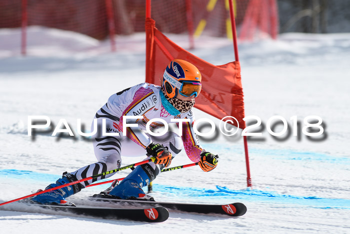 Dt. Schülercup U16 Finale, Riesenslalom, 03.03.2018