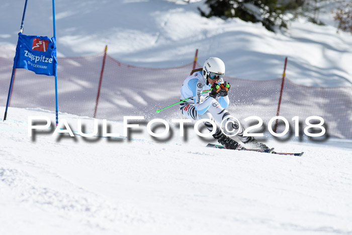 Dt. Schülercup U16 Finale, Riesenslalom, 03.03.2018