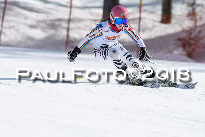 Dt. Schülercup U16 Finale, Riesenslalom, 03.03.2018