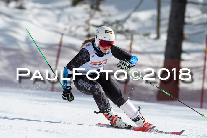 Dt. Schülercup U16 Finale, Riesenslalom, 03.03.2018