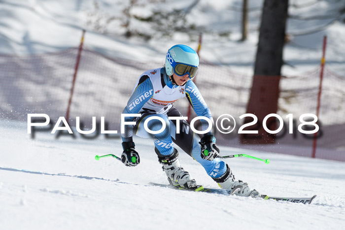 Dt. Schülercup U16 Finale, Riesenslalom, 03.03.2018