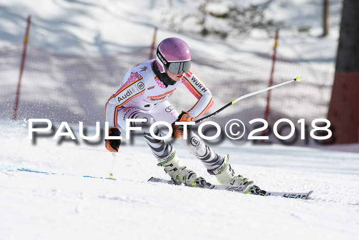 Dt. Schülercup U16 Finale, Riesenslalom, 03.03.2018