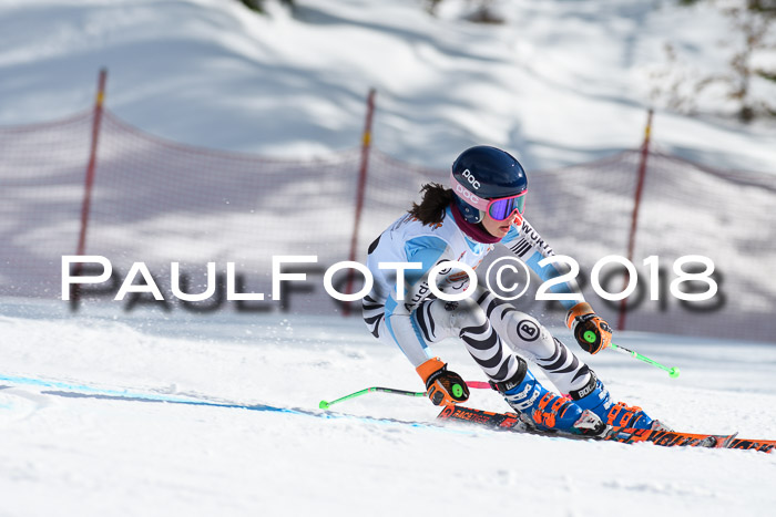 Dt. Schülercup U16 Finale, Riesenslalom, 03.03.2018