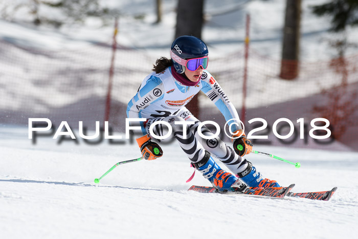 Dt. Schülercup U16 Finale, Riesenslalom, 03.03.2018