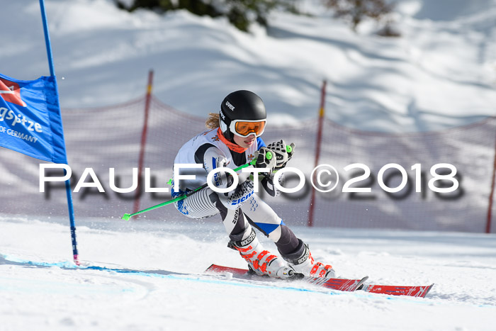 Dt. Schülercup U16 Finale, Riesenslalom, 03.03.2018